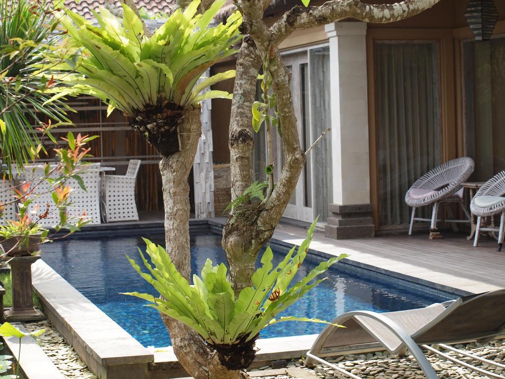 Bamboo Moon Villa